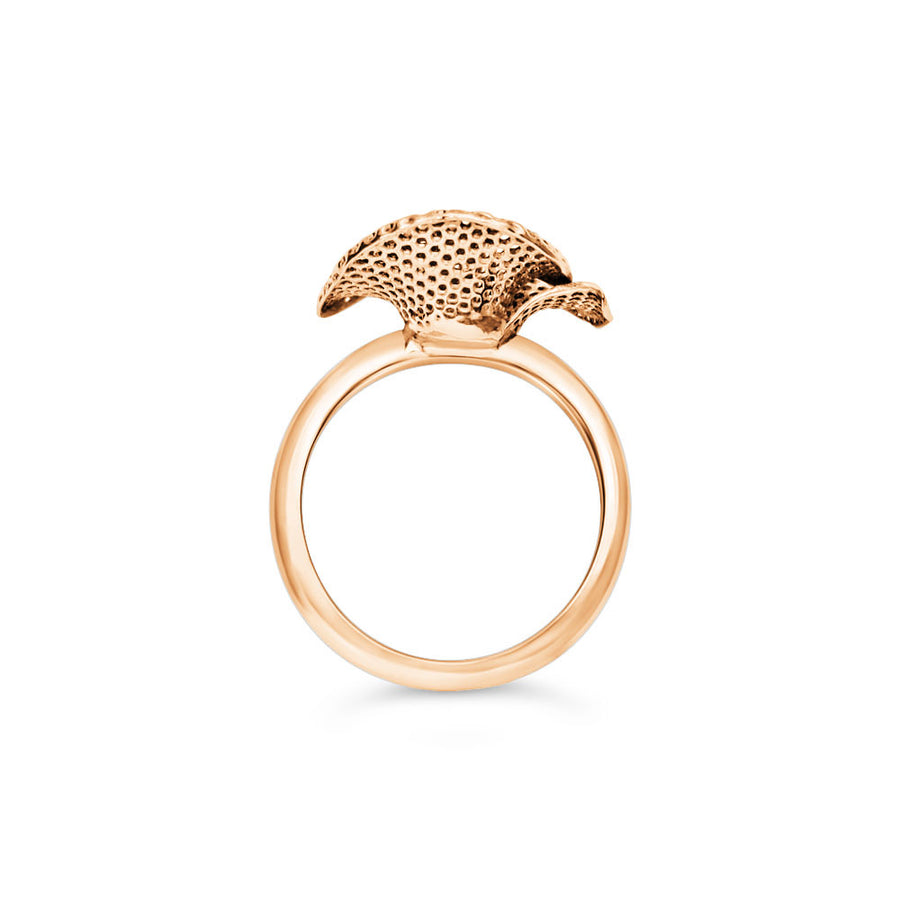 Jali style rose ring in gold with white background